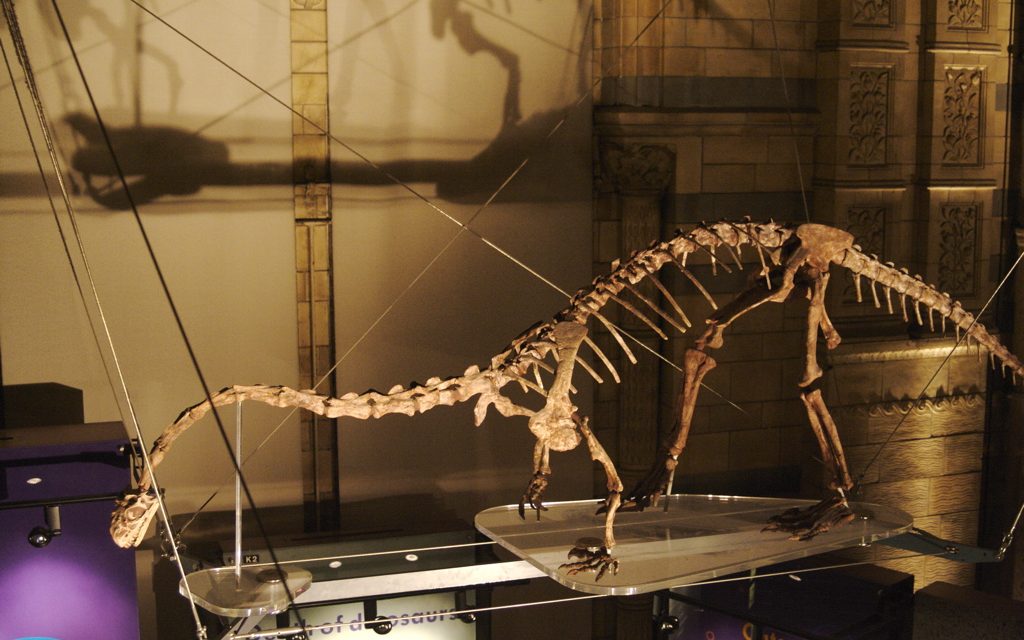 Új dinoszauruszfajt azonosítottak