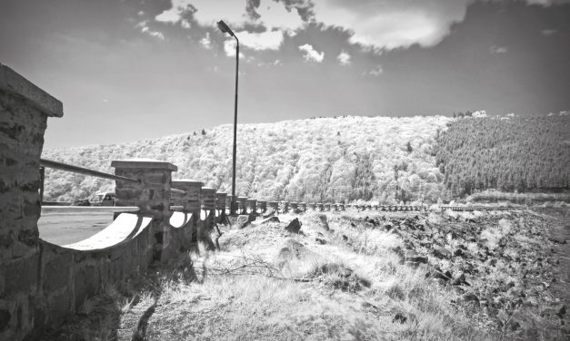 <span class="entry-title-primary">Törpetánc</span> <span class="entry-subtitle">Tamkó Sirató Károly verse</span>