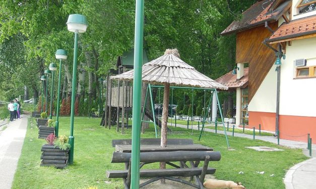 Eltűnt egy nő az újvidéki Halász-szigeten