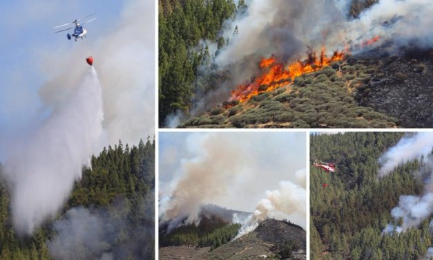 Súlyos erdőtűz pusztít Gran Canaria hegyeiben