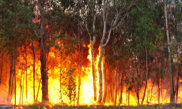 Már Alaszkát és Kanadát is elérte a szibériai erdőtűz füstje