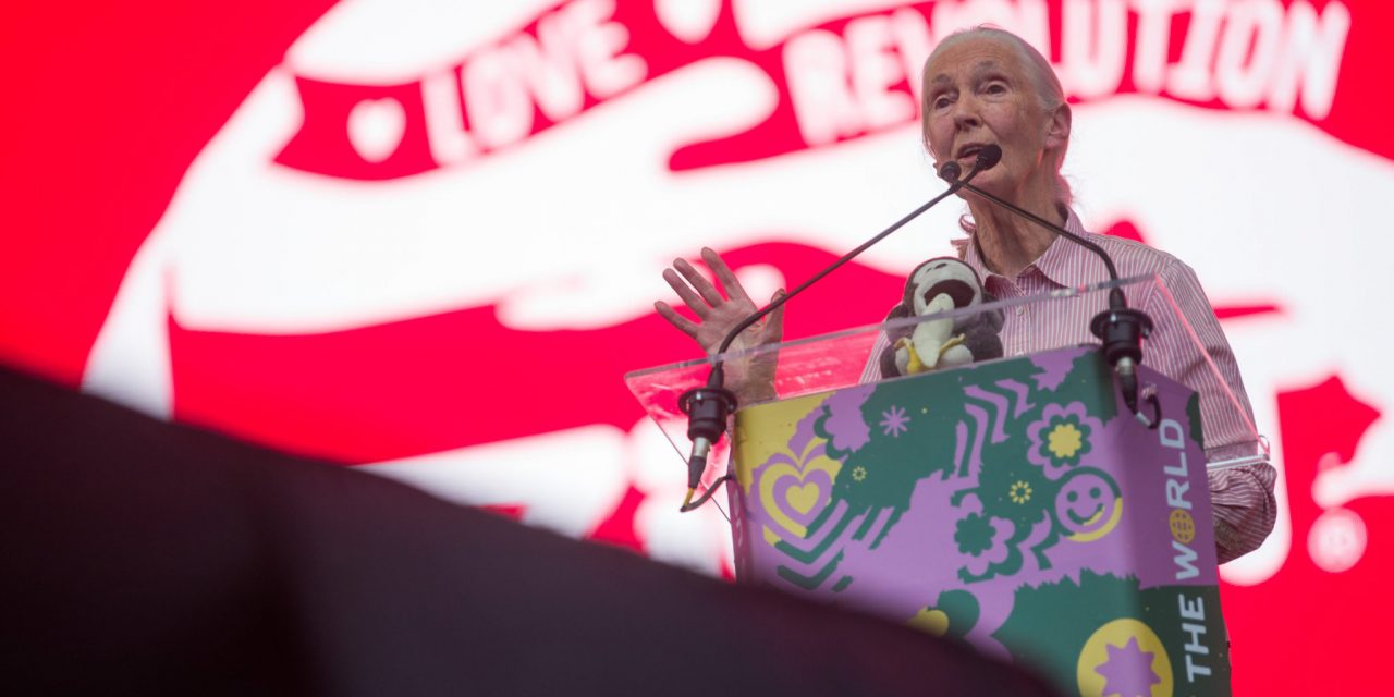 <span class="entry-title-primary">Igazi sztárparádéval érkezett meg a hétvége a Sziget Fesztiválra</span> <span class="entry-subtitle">A környezettudatosságé a főszerep a Nagyszínpadon</span>