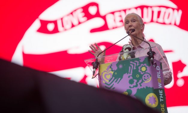 <span class="entry-title-primary">Igazi sztárparádéval érkezett meg a hétvége a Sziget Fesztiválra</span> <span class="entry-subtitle">A környezettudatosságé a főszerep a Nagyszínpadon</span>