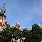 Szabadkán is előrehozott önkormányzati választásokat követel az ellenzék