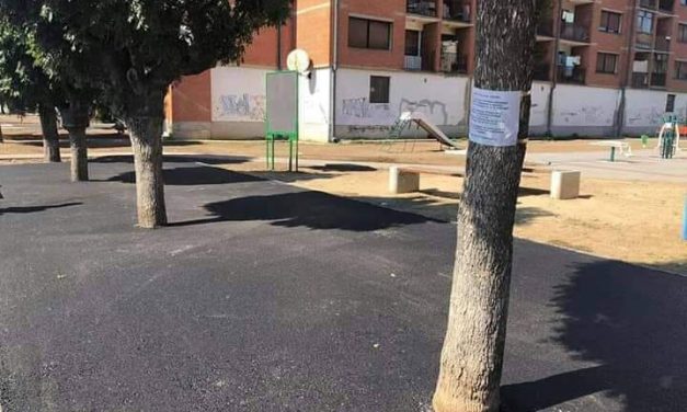 Körbeaszfaltozott fák – ami máshol nem normális, az nálunk normális