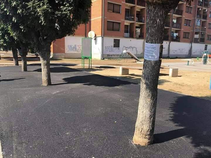 Körbeaszfaltozott fák – ami máshol nem normális, az nálunk normális