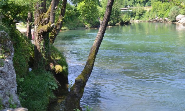 Letartóztatták a szerb állampolgárt, aki tizenegy menekülttel a Kupa folyóba hajtott