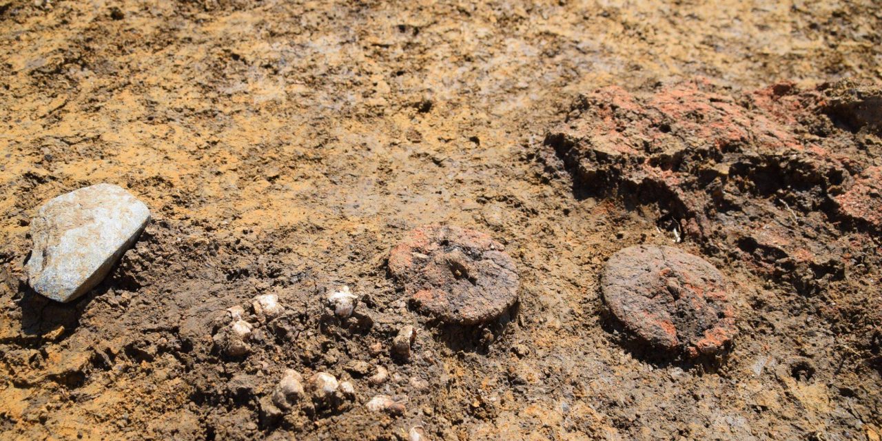 Rejtélyes minikerekeket találtak egy rézkori gyermeksírban