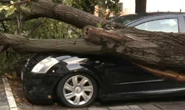 Ítéletidő Szerbiában: Fatörzs esett két személyre