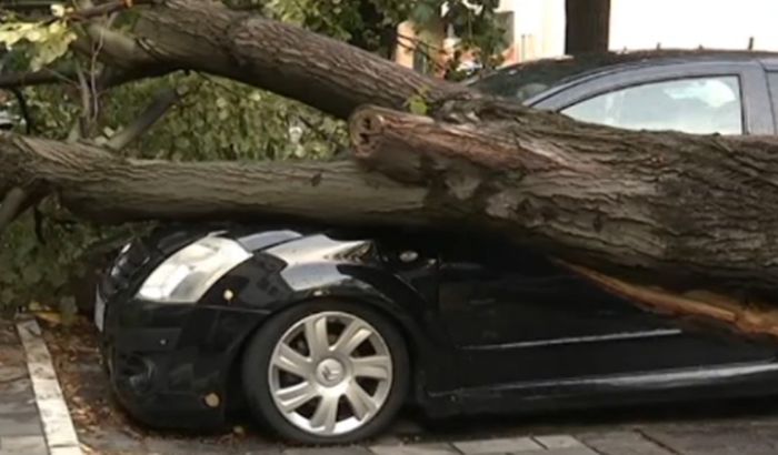 Ítéletidő Szerbiában: Fatörzs esett két személyre