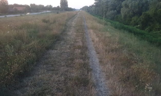 <span class="entry-title-primary">Fűnyírás zentai módra</span> <span class="entry-subtitle">Avagy: magad uram, ha (köz)szolgád nincsen</span>