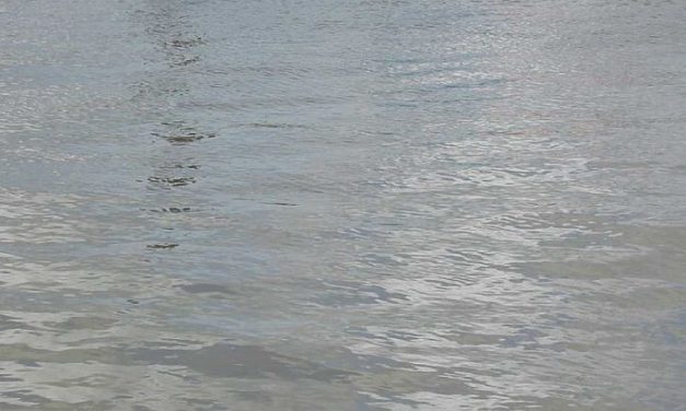 Szökésben a szerb állampolgárságú sofőr, aki folyóba hajtott 11 menekülttel