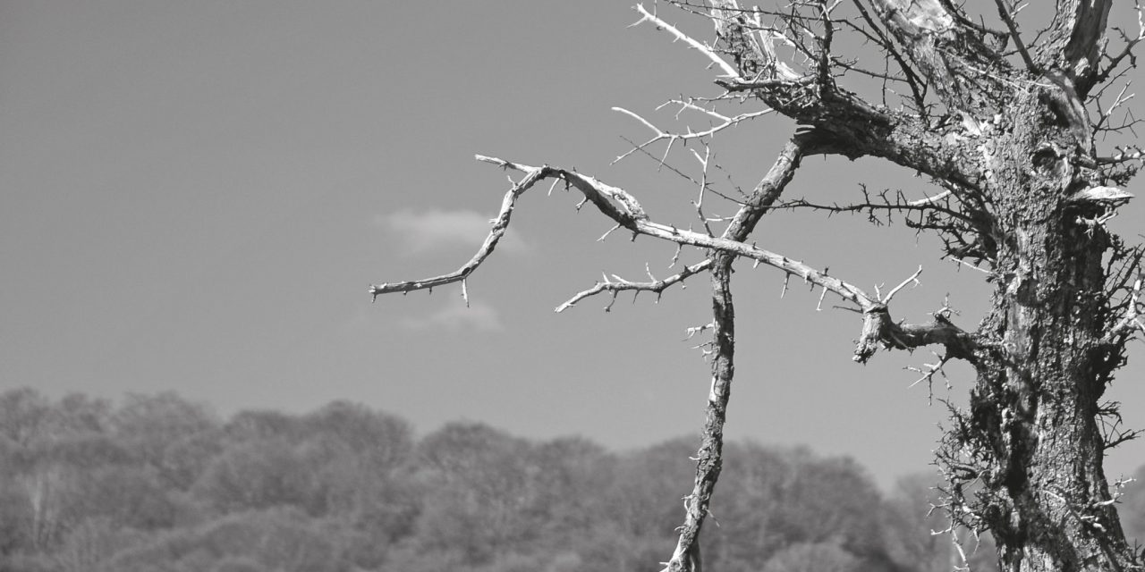 <span class="entry-title-primary">A fiúk és a lányok</span> <span class="entry-subtitle">Andrássy Réka verse</span>