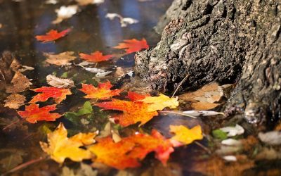 Ilyen időnk lesz a héten