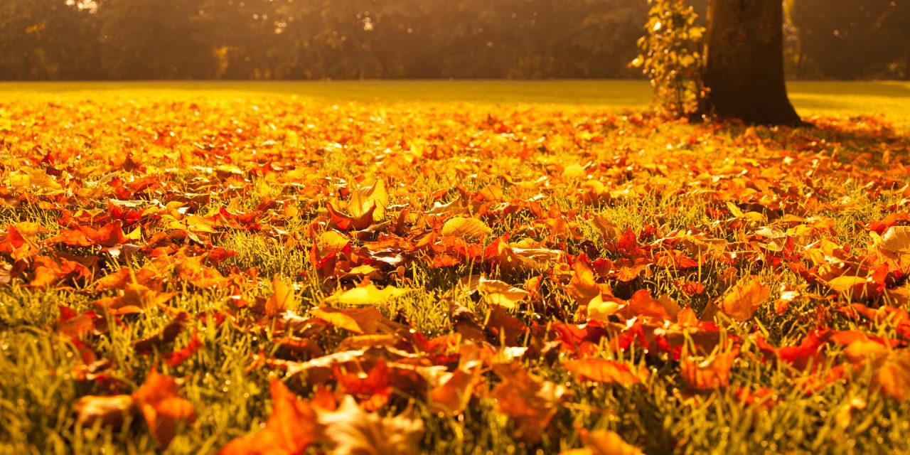 Megérkezett a hidegfront