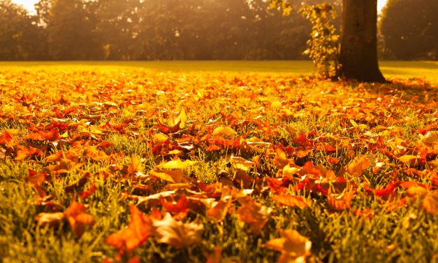 Megérkezett a hidegfront