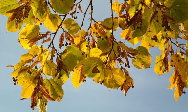 Itt a részletes időjárás-előrejelzés szeptemberre