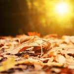Igazi vénasszonyok nyara lesz szeptember végén és október elején