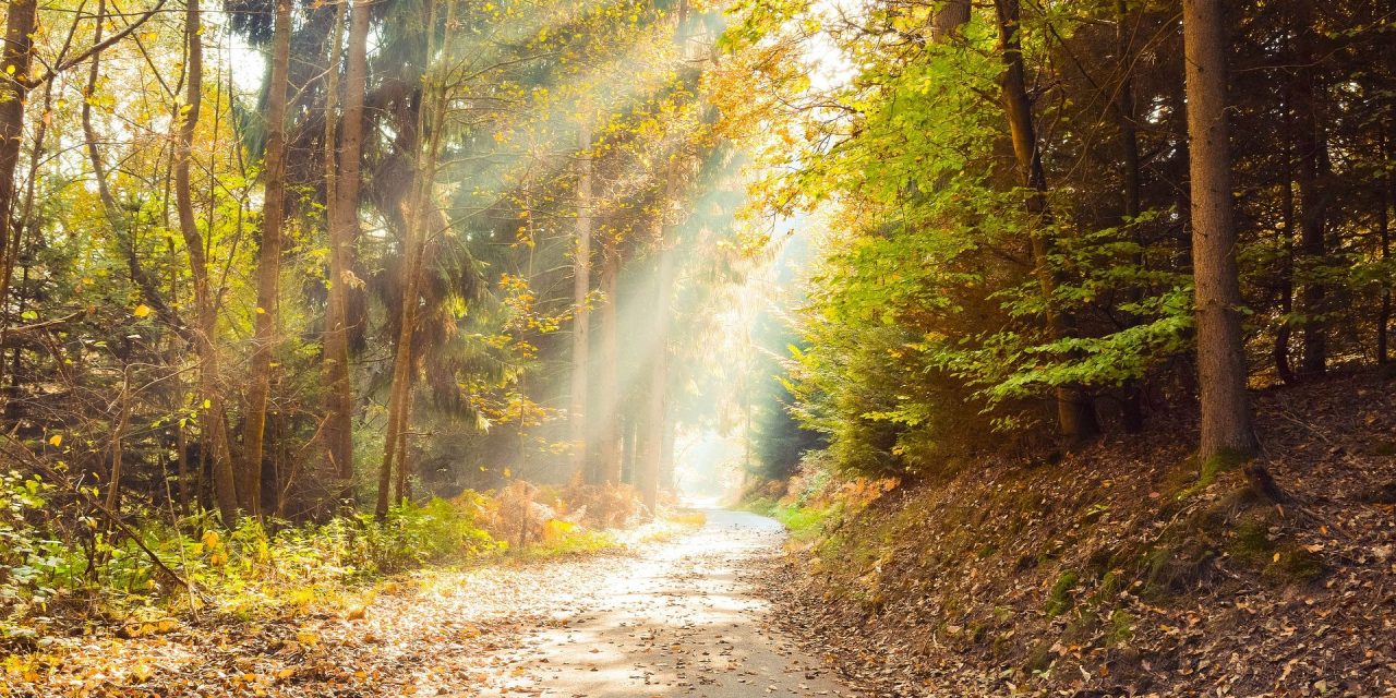 Fázott a napokban? Van egy jó hírünk!