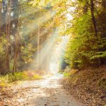 Mégsem fog esni május elsején