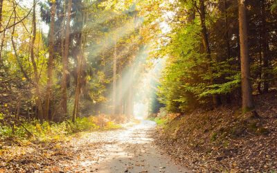 Ilyen időjárás lesz a jövő héten