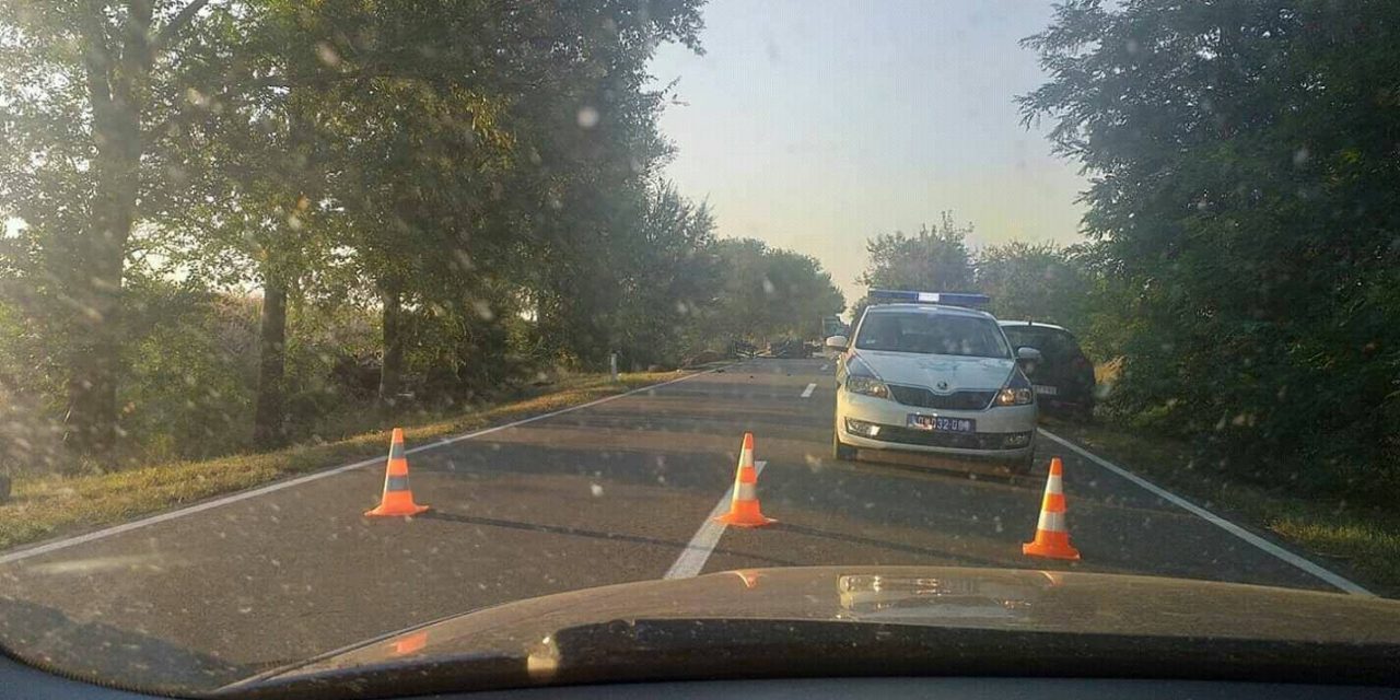 Tragédia Ada és Zenta között: Meghalt a lovaskocsi vezetője, a ló sem élte túl a balesetet