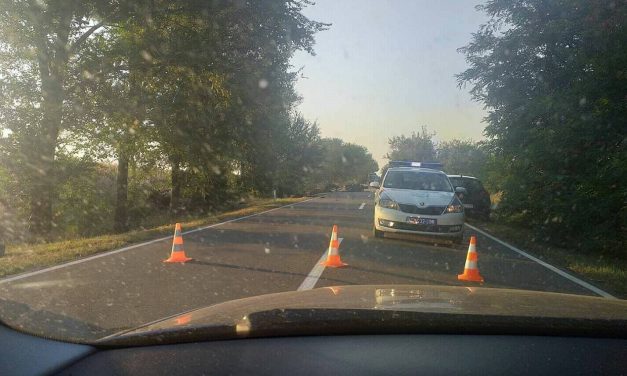 Tragédia Ada és Zenta között: Meghalt a lovaskocsi vezetője, a ló sem élte túl a balesetet