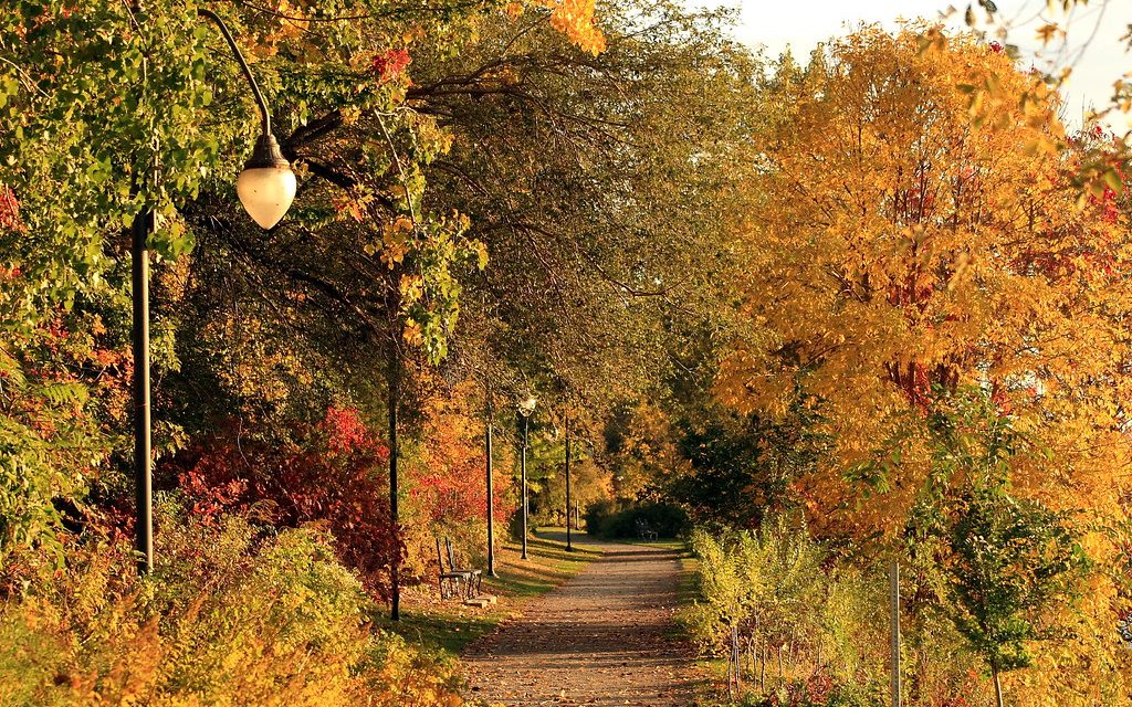 Igazi vénasszonyok nyara lesz a hétvégén