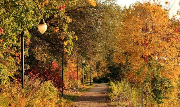 Igazi vénasszonyok nyara lesz a hétvégén
