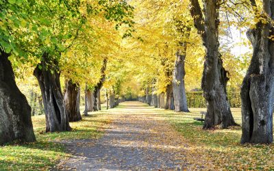 Itt a hosszú távú időjárás előrejelzés