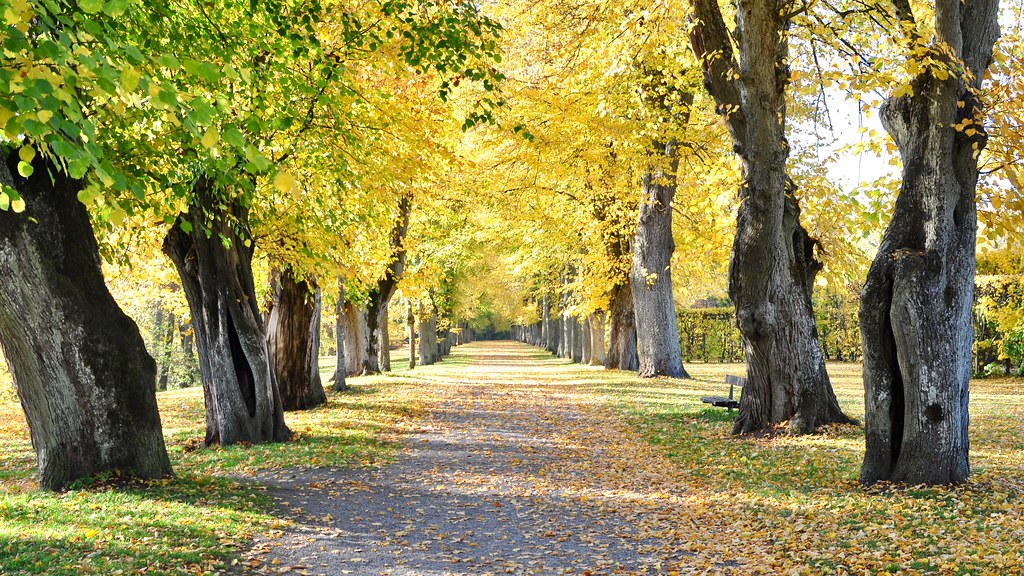 Itt a hosszú távú időjárás előrejelzés