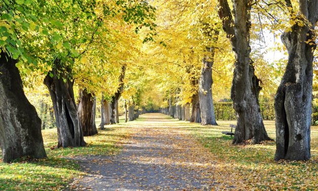 Ilyen időnk lesz az iskolakezdésre