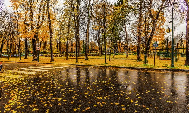Élvezzék a kései nyarat, mert már csak néhány napig tart