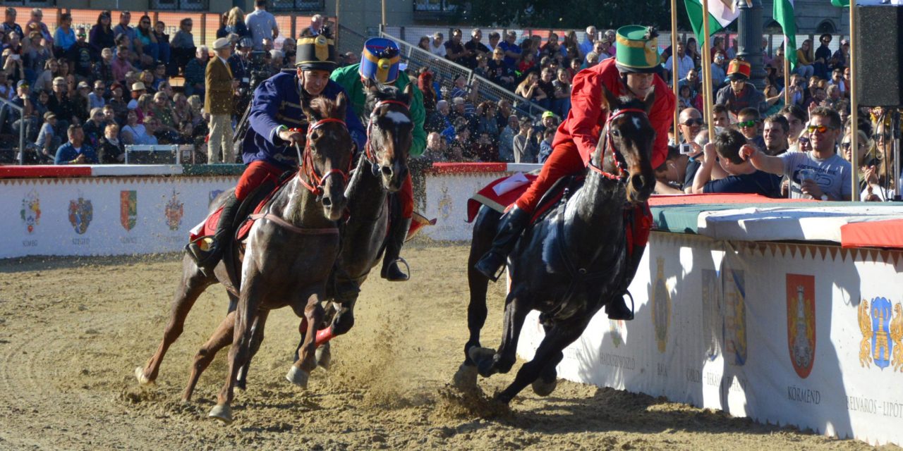 <span class="entry-title-primary">Vajdaság vágtázik az újabb hírnév felé</span> <span class="entry-subtitle">A legutolsó elővágtára is jutott izgalom a szombati nyitónapon</span>