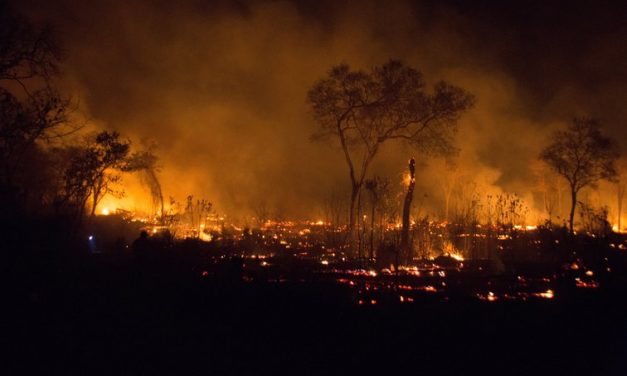 <span class="entry-title-primary">Tüzek, válságok, megosztottság, lakáshiány</span> <span class="entry-subtitle">Dél-Amerika, Kanada, Németország, Svédország és Magyarország a világsajtóban (Nemzetközi lapszemlénk)</span>