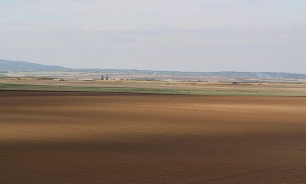 Vajdaság 50 év múlva pusztasággá válhat