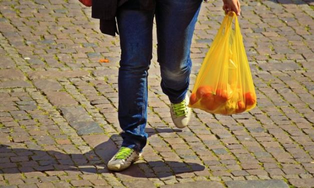 2021. január 1-től Újvidéken betiltják a műanyag zacskókat