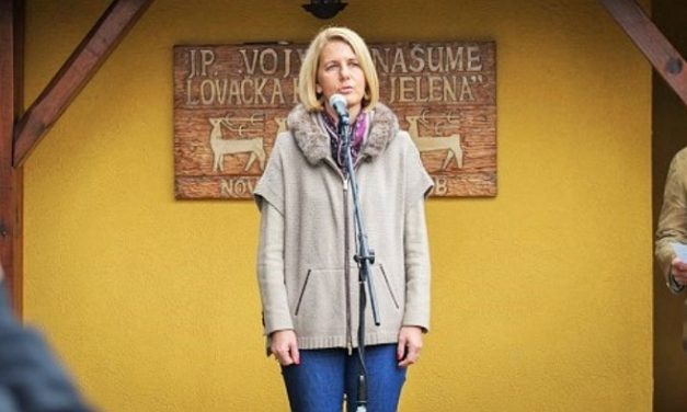 A bíróság szerint törvényesen választották meg a Vajdaság Erdei Közvállalat igazgatóját