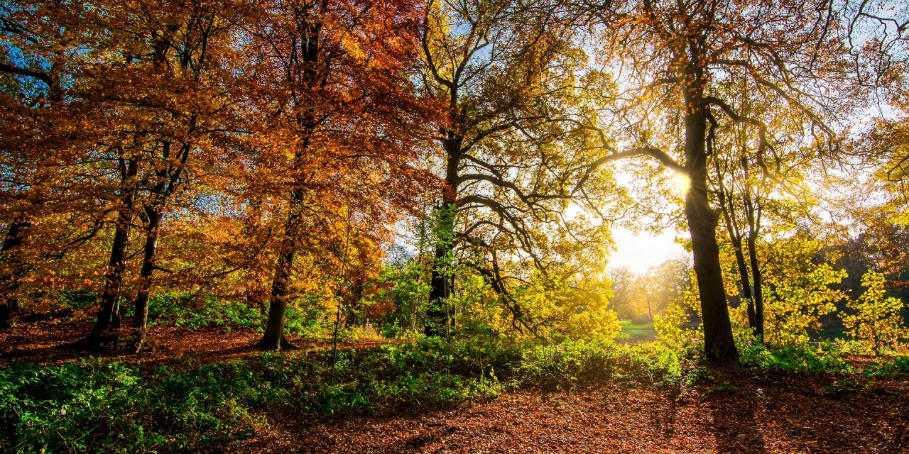 A meteorológusok szerint mégis lesz vénasszonyok nyara