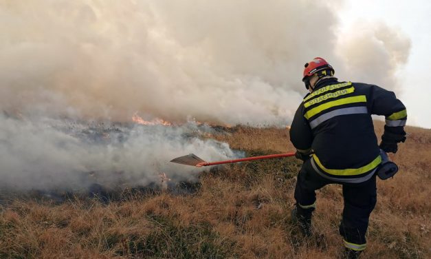 Ötszáz hektáron ég az erdő és az aljnövényzet Dél-Szerbiában