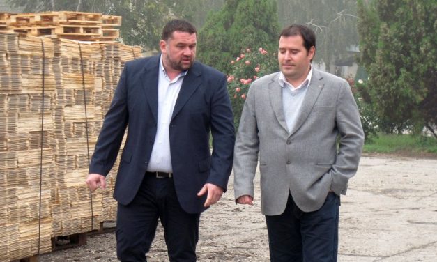 Magyarkanizsa: A ládagyár tevékenységének környezeti hatásai