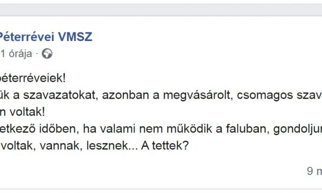 Péterrévén minimálisra csökkent, Bácsföldváron és Dreán megszűnt a VMSZ jelenléte a helyi közösségi tanácsban