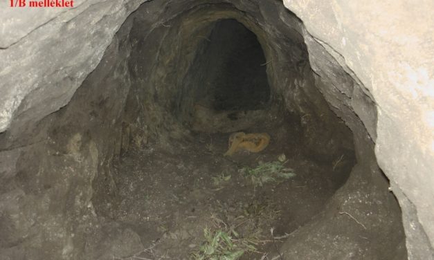 Szerb-magyar határalagút: De hol van a kiásott föld?