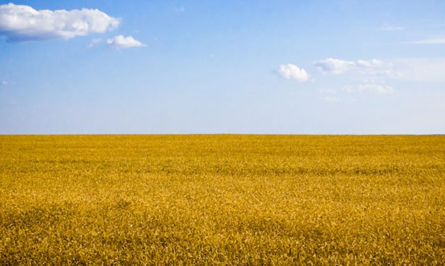 <span class="entry-title-primary">Az egyhektáros családi gazdaságokban a megoldás</span> <span class="entry-subtitle">Szakértők szerint Vajdaság ötven év múlva terméketlenné válik – Melyik megoldás lenne a legmegfelelőbb a környezetvédelem szempontjából?</span>