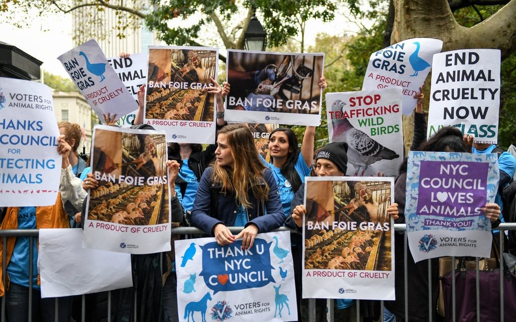 <span class="entry-title-primary">New York betiltja a libamájat</span> <span class="entry-subtitle">Brit választások, szíriai hadjárat, halálos fenyegetések német politikusok ellen: Folytatódik a káosz a világban – Nemzetközi lapszemlénk</span>