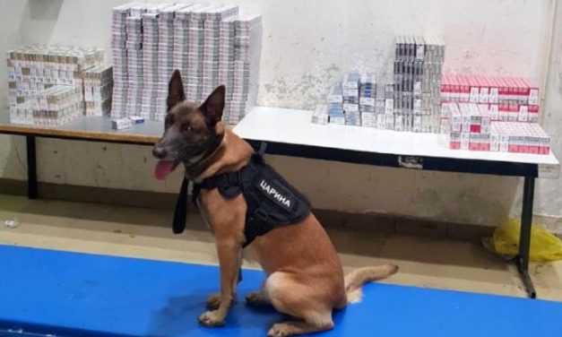 Néró, a vámhatóság kutyája fedezte fel az autóbuszba rejtett cigarettát Horgosnál (fotók)