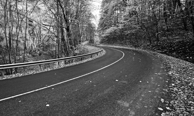 <span class="entry-title-primary">Nyiladék</span> <span class="entry-subtitle">Radnai István verse</span>