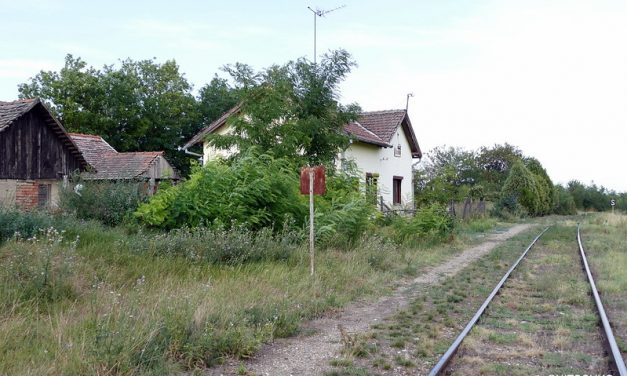 <span class="entry-title-primary">Tudják önök, melyik a világ legnagyobb városa?</span> <span class="entry-subtitle">Ne is próbálkozzanak, úgysem találják ki</span>