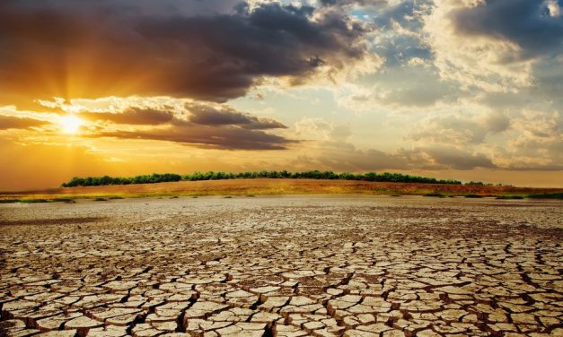 Az olasz iskolákban bevezetik a kötelező klímaoktatást