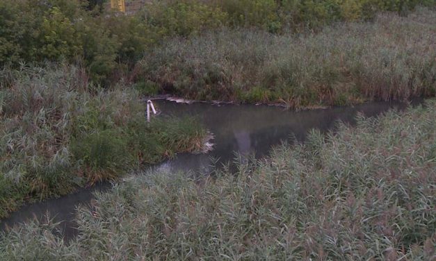 A cservenkai cukorgyárnak megtiltották a szennyvízkibocsájtást